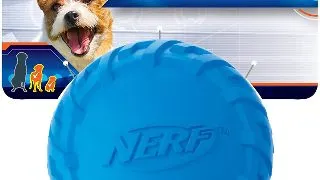 Nerf Minge Squeak Albastru/Verde S