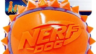Nerf Minge Feeder Two Tone L