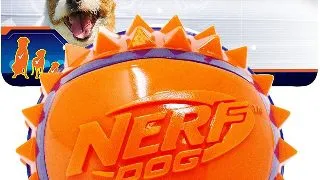 Nerf Minge Feeder Two Tone S