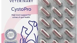 CystoPro, capsule