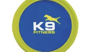 Zeus K9 Fitness Disc Nylon