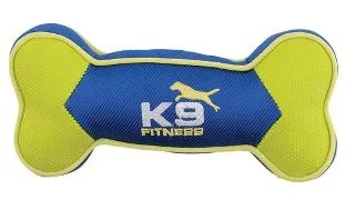 Zeus K9 Fitness Bone Nylon