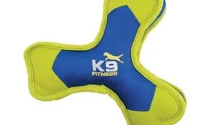 Zeus K9 Tri-Bone Nylon
