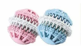 Ferplast Jucarie Dog Dental PA 6586/8 cm