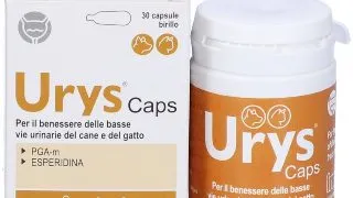 Urys, 30 capsule