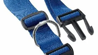 Ferplast Zgarda Silon Club C 4.0X70 CM Albastru