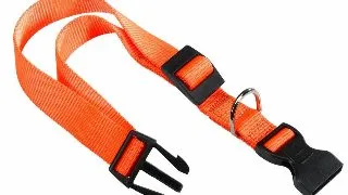 Ferplast Zgarda Silon Club C 1.5X44 cm Portocaliu