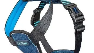 Coa Ham Caine Carsafe Crash Tested Blue XS