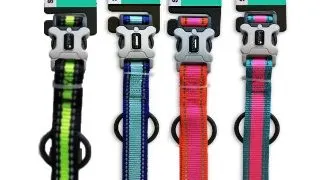 Walkit Zgarda Caine L 2.5 cm X 43-74 cm - albastru
