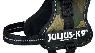 Trixie Ham Julius-K9 Mini-Mini/S 40-53cm/22 mm