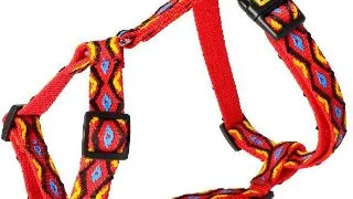 Dingo Ham Winnetou XL Rosu