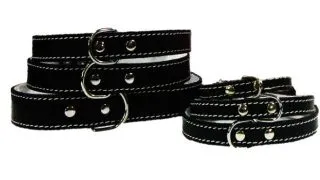 Pet Expert Zgarda Pasla Negru - nr-6