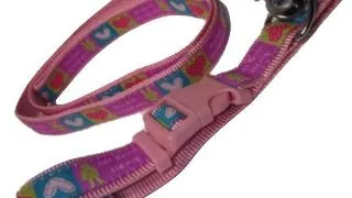 Pet Expert Zgarda/Lesa 2.5X120 cm 1037A 2.5