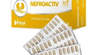 Nefroactiv, capsule