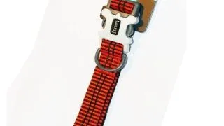 Walkit Zgarda Caine Electric Orange L 2.5 X 40-66 cm