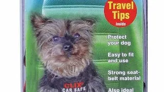 Coa Centura Car Safe XS