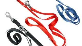 Ferplast Lesa Reglabila Silon Club GA 2X200 cm - ferplast,albastru