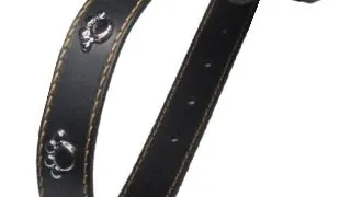 Streetside Zgarda Labute 2.0X45 cm Negru Nr 2