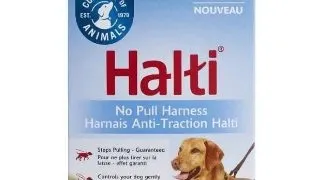 Coa Halti Ham Caine M