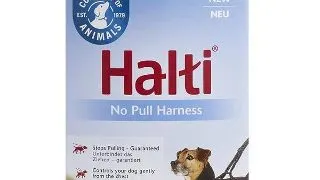 Coa Halti Ham Caine S