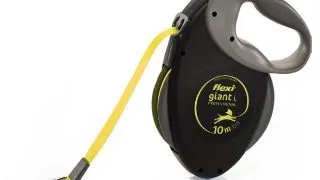 Flexi Lesa Giant Professional Tape L 10 M Negru