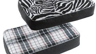 Pernita Freddy 50