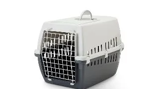 Savic Cusca Transport Trotter 3 Gri/Antracit