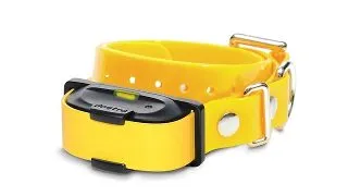 Receptor suplimentar pentru Dogtra IQ MINI - Galben