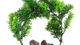Sydeco Planta Rock Arch 21 cm 380459