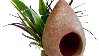 Sydeco Planta Fish Home Plants 22 cm 380471