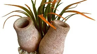 Sydeco Planta Cannon Double14 cm 380472