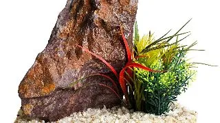 Sydeco Decor Grand Canyon Plant 16 cm 380508