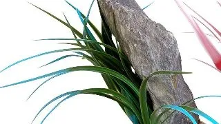 Sydeco Decor Mountain Peak Bush 14 cm 380518