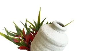 Sydeco Decor Barrel Rum Plants 15 cm 380526