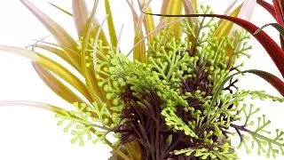 Sydeco Planta Aqua Bouquet 9 cm 385004