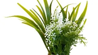 Sydeco Planta Nano Fiesta Flower 12 cm 380091