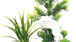 Sydeco Planta Ruin Blue Base 20 cm 350310