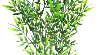 Sydeco Planta Bamboo XL 38 cm 350148
