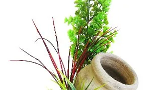 Sydeco Planta Jar Plant 35 cm 350144