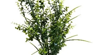 Sydeco Planta Sea Pearl Maxi 45 cm 350119