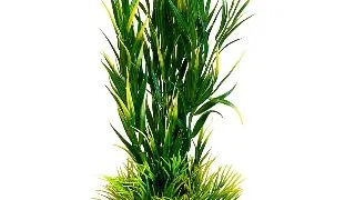 Sydeco Planta Wild Mountain 39 cm 350115
