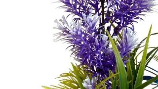 Sydeco Planta AquaPlant Color Medium 28 cm 349901