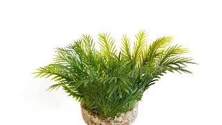 Sydeco Planta Green Moss 7 cm 349720
