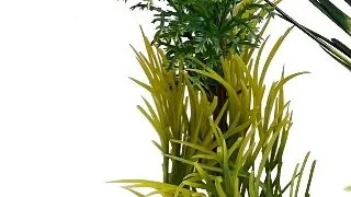 Sydeco Planta Aquaplant Small Pot Mix 18 cm 349716