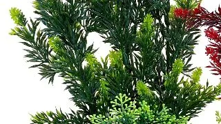 Sydeco Planta Hedge 24 cm 349708