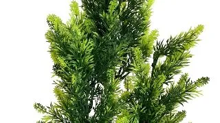 Sydeco Planta AquaPlant Giant 46 cm 349706