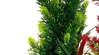 Sydeco Planta Aquaplant X-Large 35 cm 349700