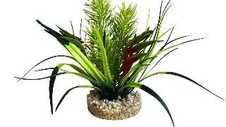Sydeco Planta Jungle Small 15 cm 349633