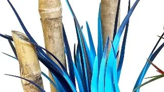 Sydeco Planta Bamboo Forest Plants 20 cm 349415