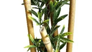Sydeco Planta Bamboo Large Plants 25 cm 349400